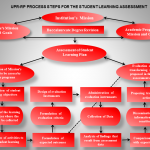 Proceso de Assessment OEAE